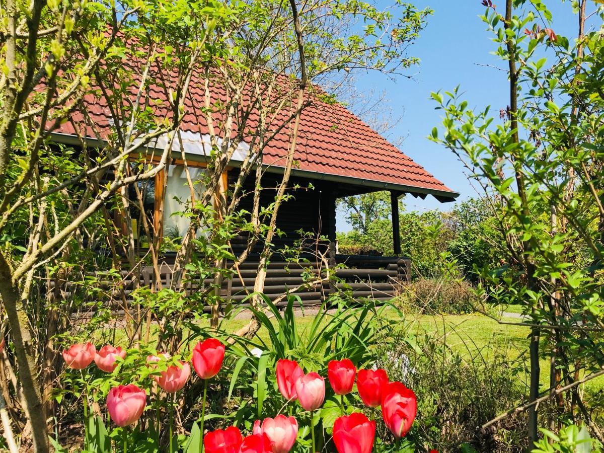 Eifel-Lounge Blockhaus Mit Kamin Garten Balkon Nahe Koeln Therme Bruehl Phantasialand Weilerswist Exteriér fotografie